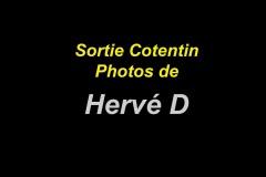 20-Photos-Herve