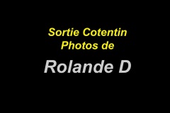 60-Photos-Rolande