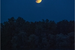 Michel-G-Eclipse de lune