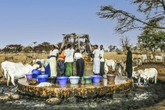 José-C : Autour d'un puits (Sénégal)