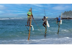 Pêcheurs Sri Lanka