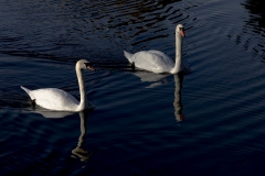 Jean-Louis B : Autour du lac d\'Enghien