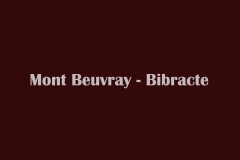 J3-3-0-Beuvray-Bibracte