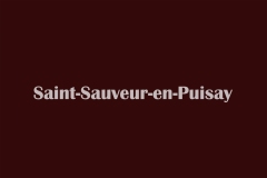 J5-4-0-SaintSauveurenPuisaye