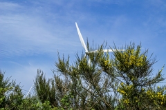 Fabrice-V-Éolienne