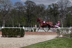 Jean-Louis B : Course de trot attelé à Soisy-Enghien