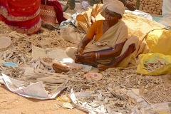 Marchande de poissons sÈchÈs - marchÈ de Gangaikondacholapuram