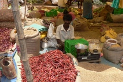 MarchÈ de Gangaikondacholapuram