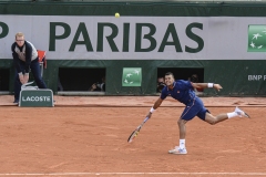 Gilles Derriennic- Jo Wilfrid Tsonga