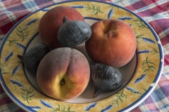 José-12-Fruits