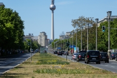 Hilde - Berlin